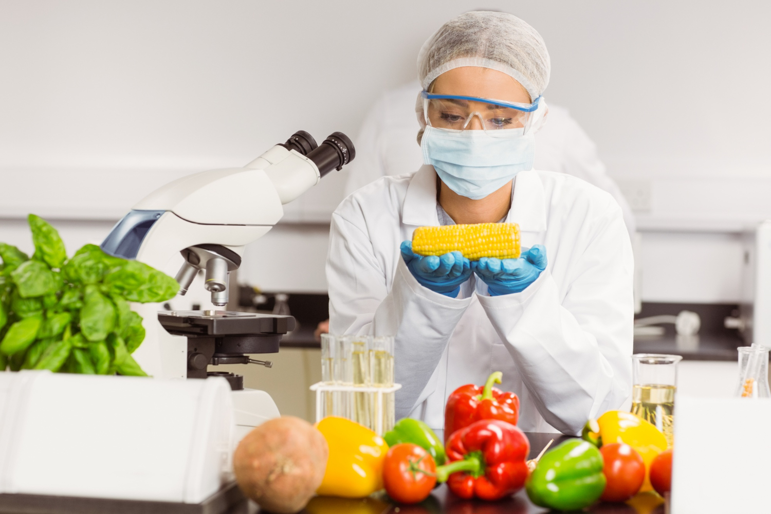 Definiția securității alimentare