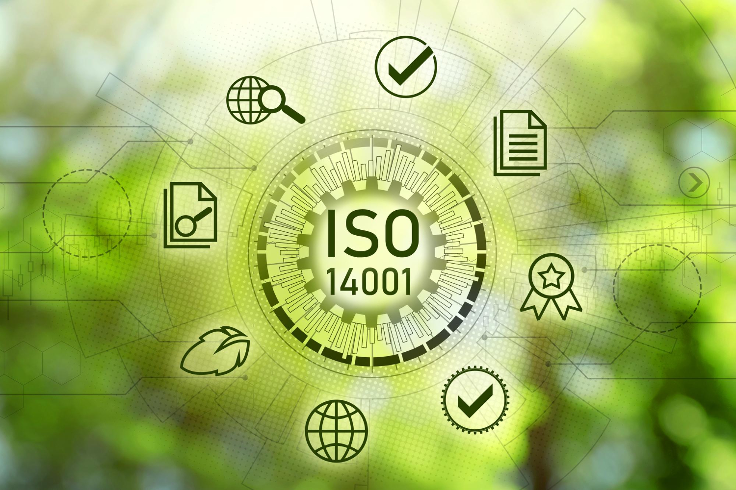 Beneficiile pe care le aduce ISO 14001